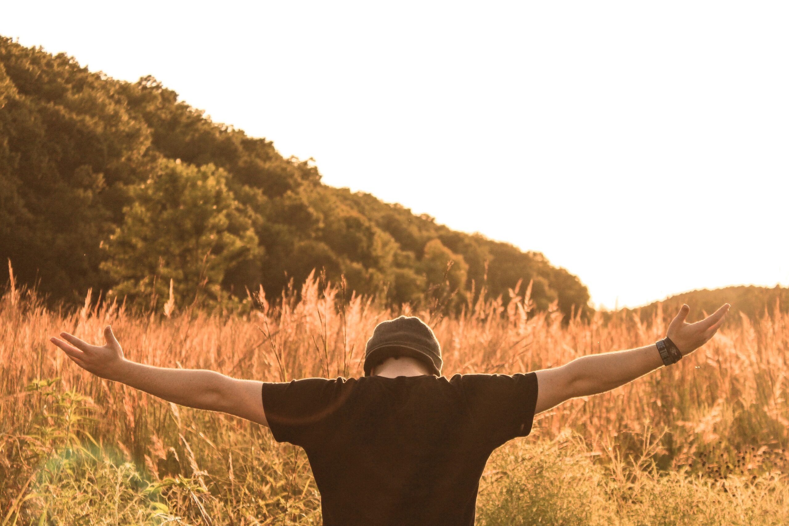 God has made us stewards over the earth.
