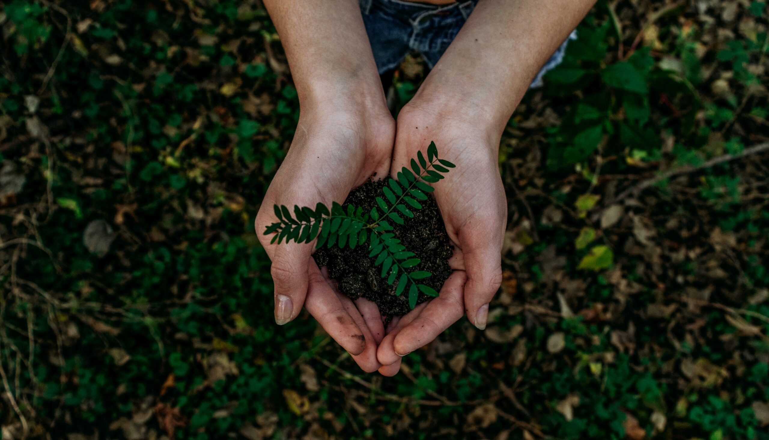 Photo taken by Noah Buscher